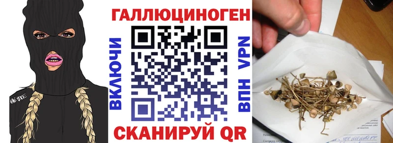ОМГ ОМГ ссылки  Лесосибирск  Псилоцибиновые грибы Psilocybe 